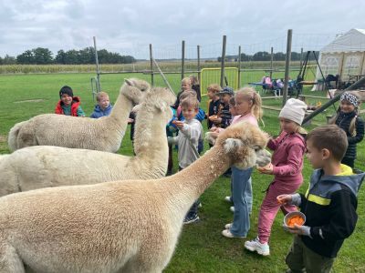 zdjęcie do
														 artykułu: Dzień Przedszkolaka i Alpaki