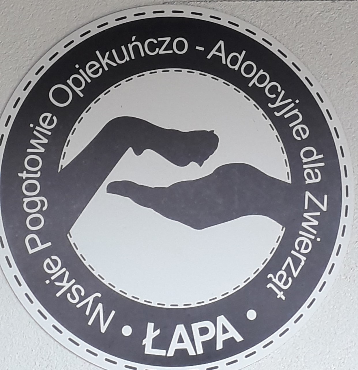 zdjęcie do
														 artykułu: Dla zwierząt