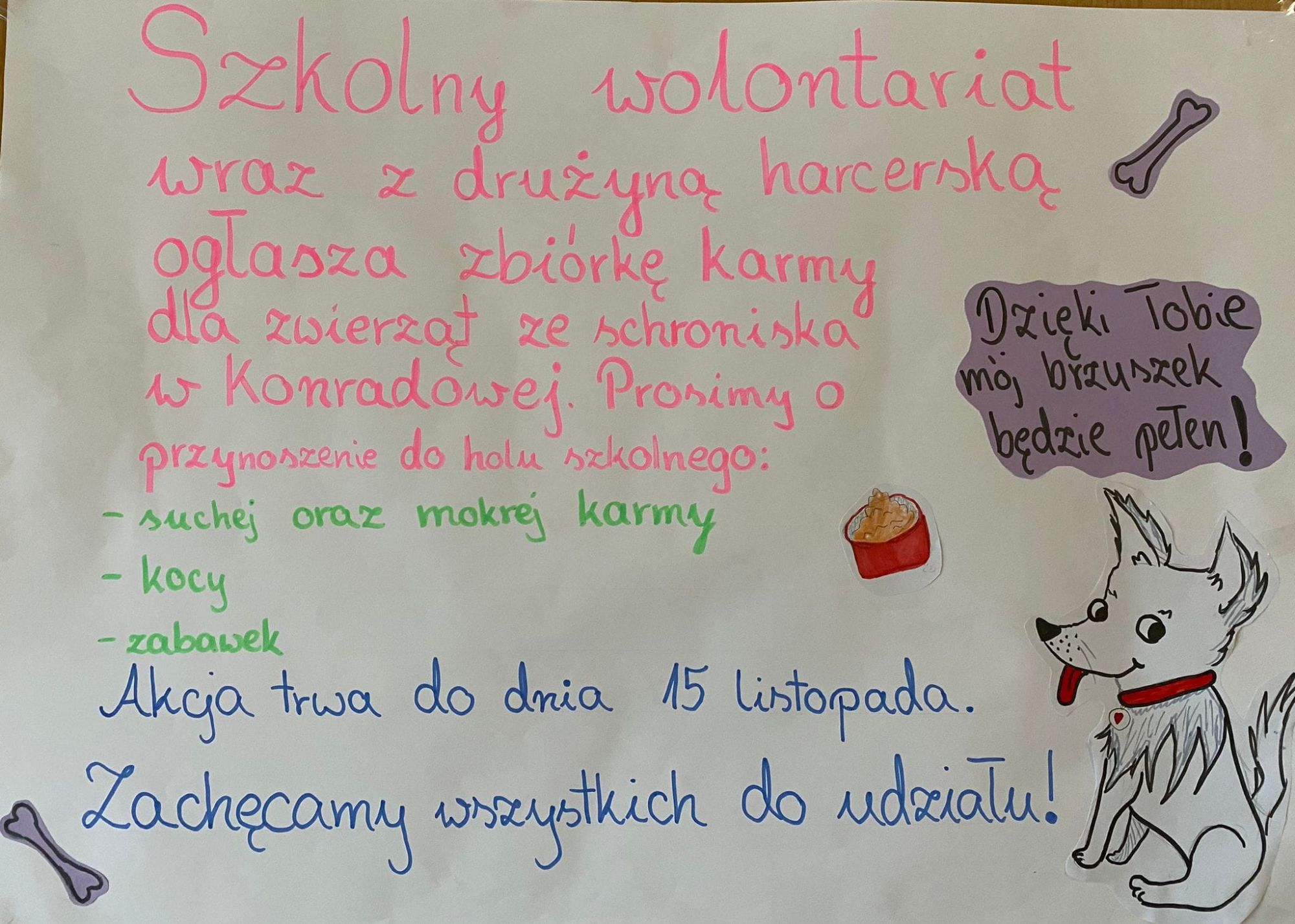 Zbiórka karmy dla zwierząt