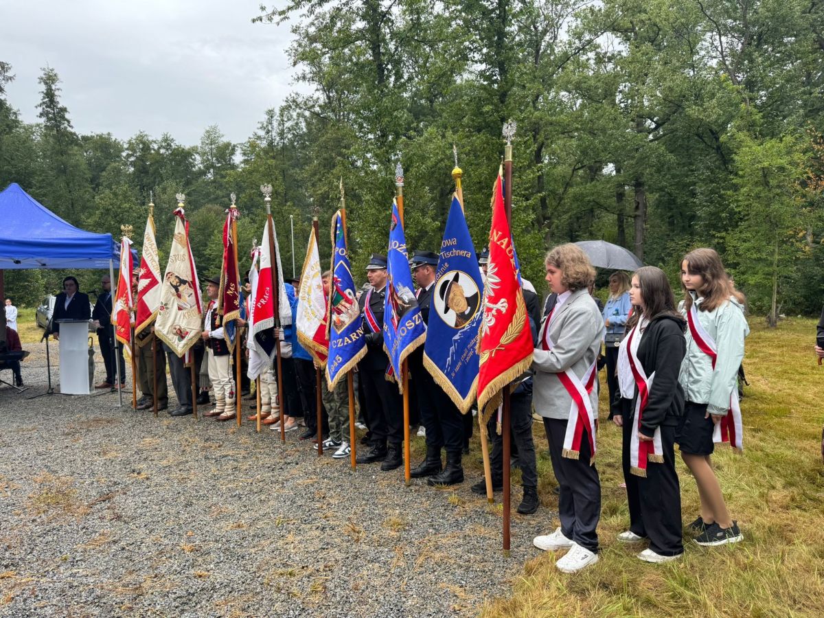 546632369 1198381365649612 4424356801819123842 n