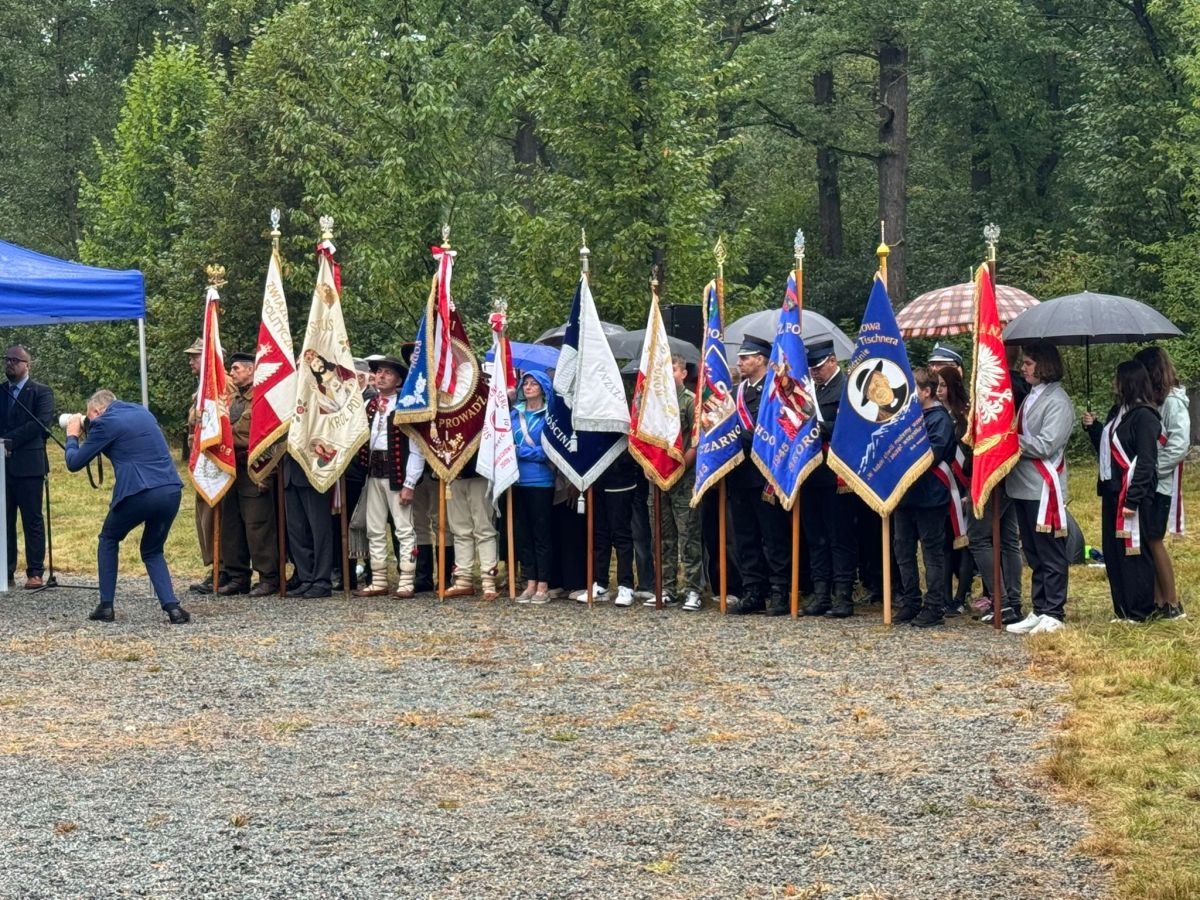 546654582 1198382442316171 8316809434280402384 n