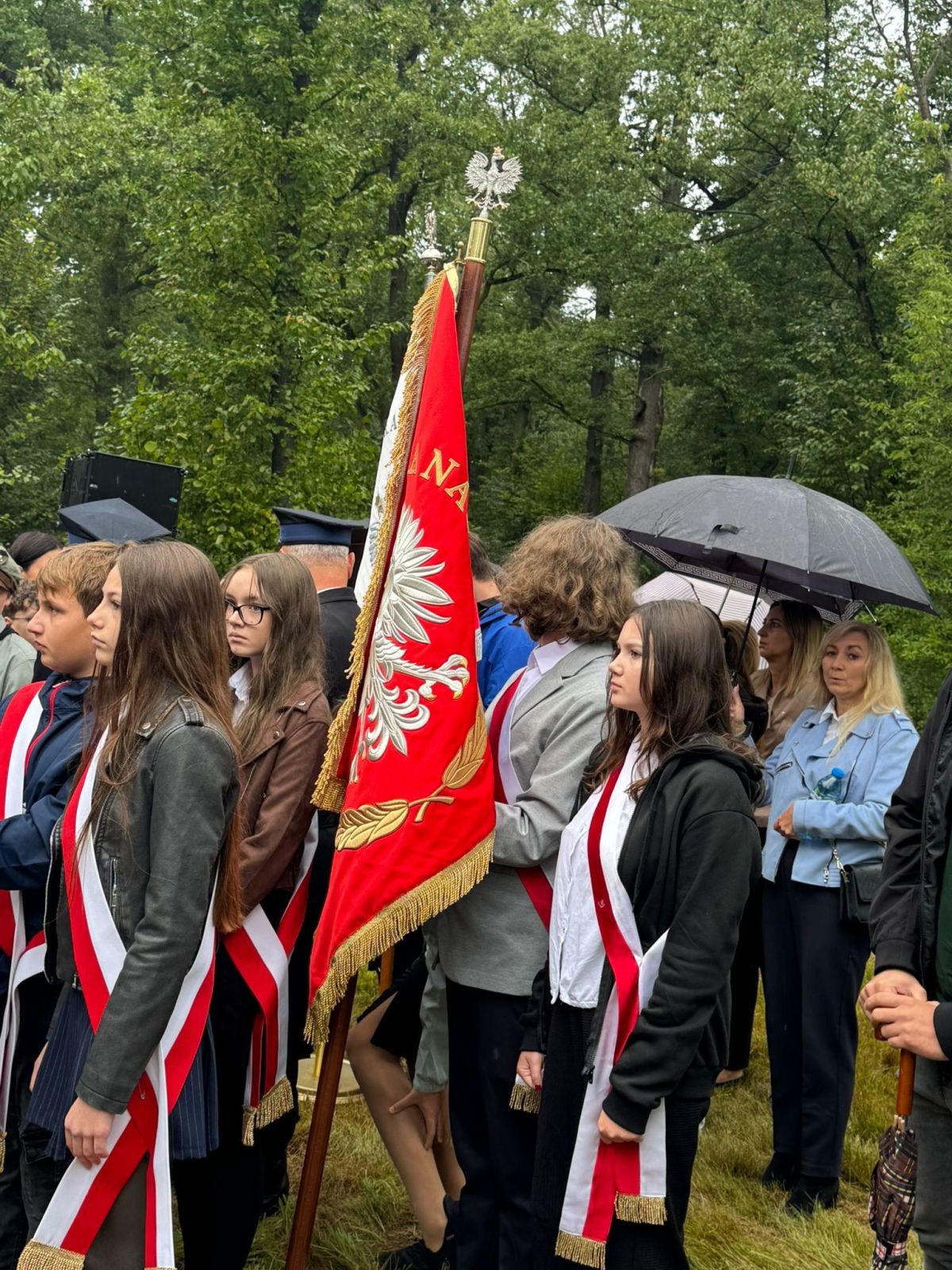 547291166 1198382632316152 1761749531003465975 n