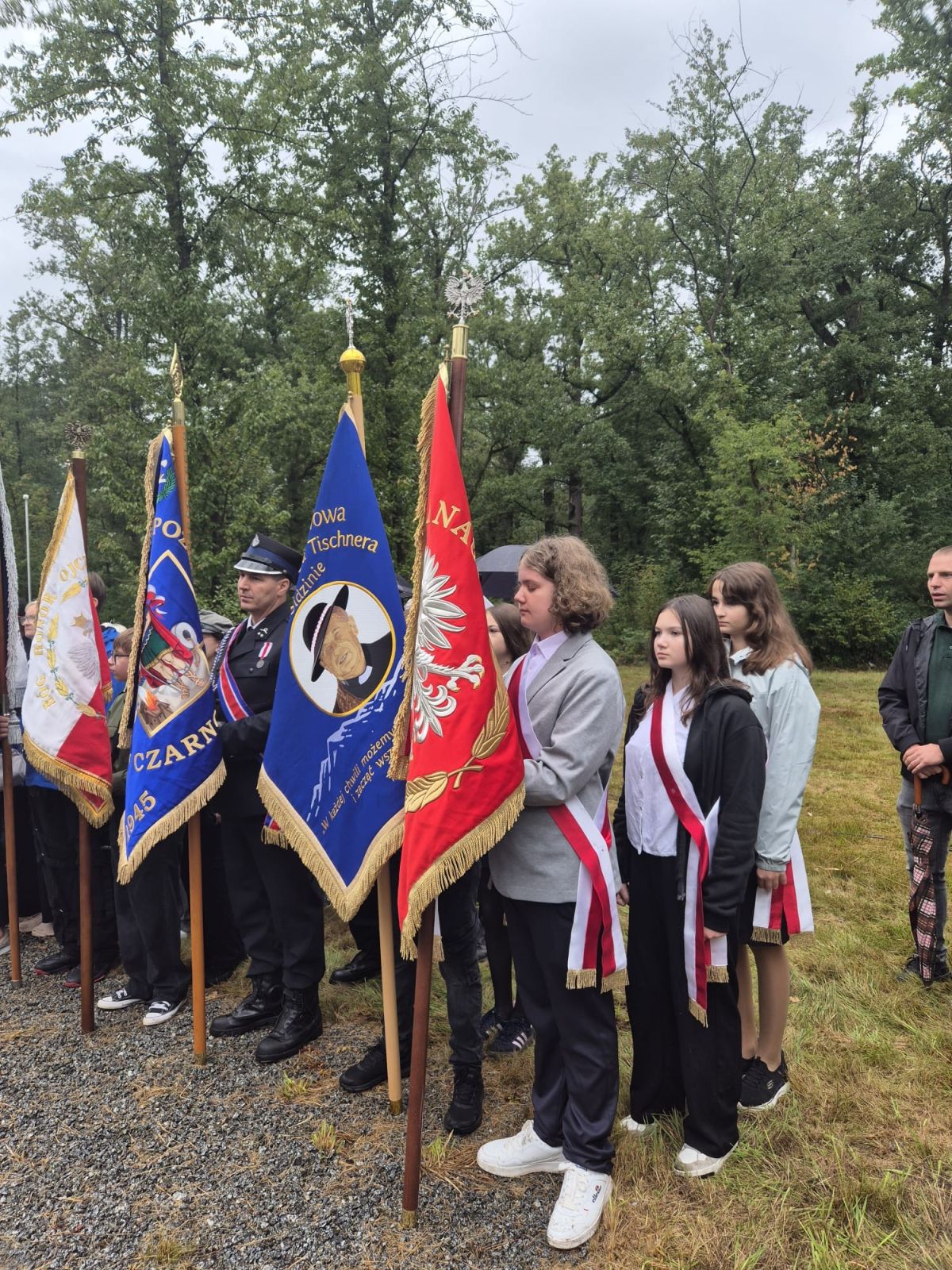 548112525 1198383085649440 5646599041529545611 n