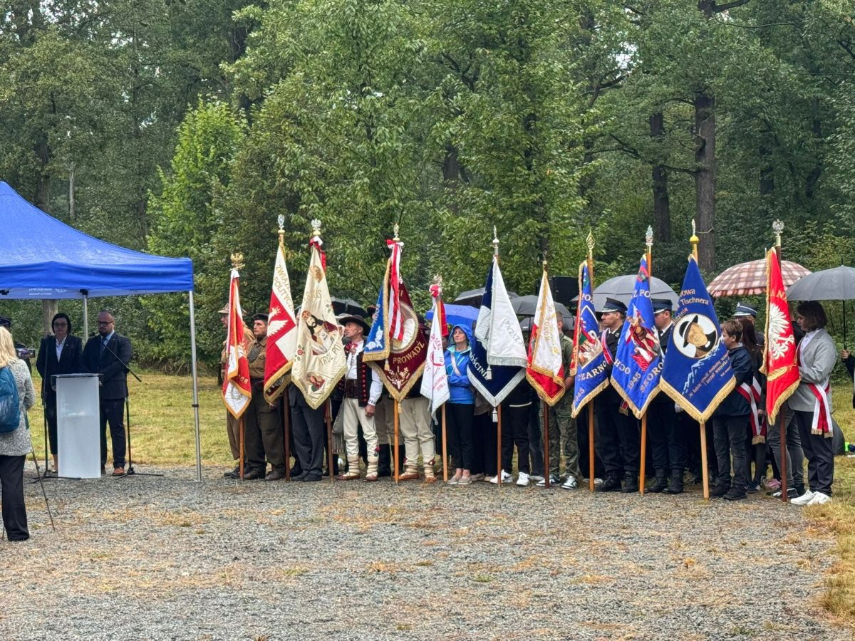 548132320 1198381815649567 4121415782830411537 n