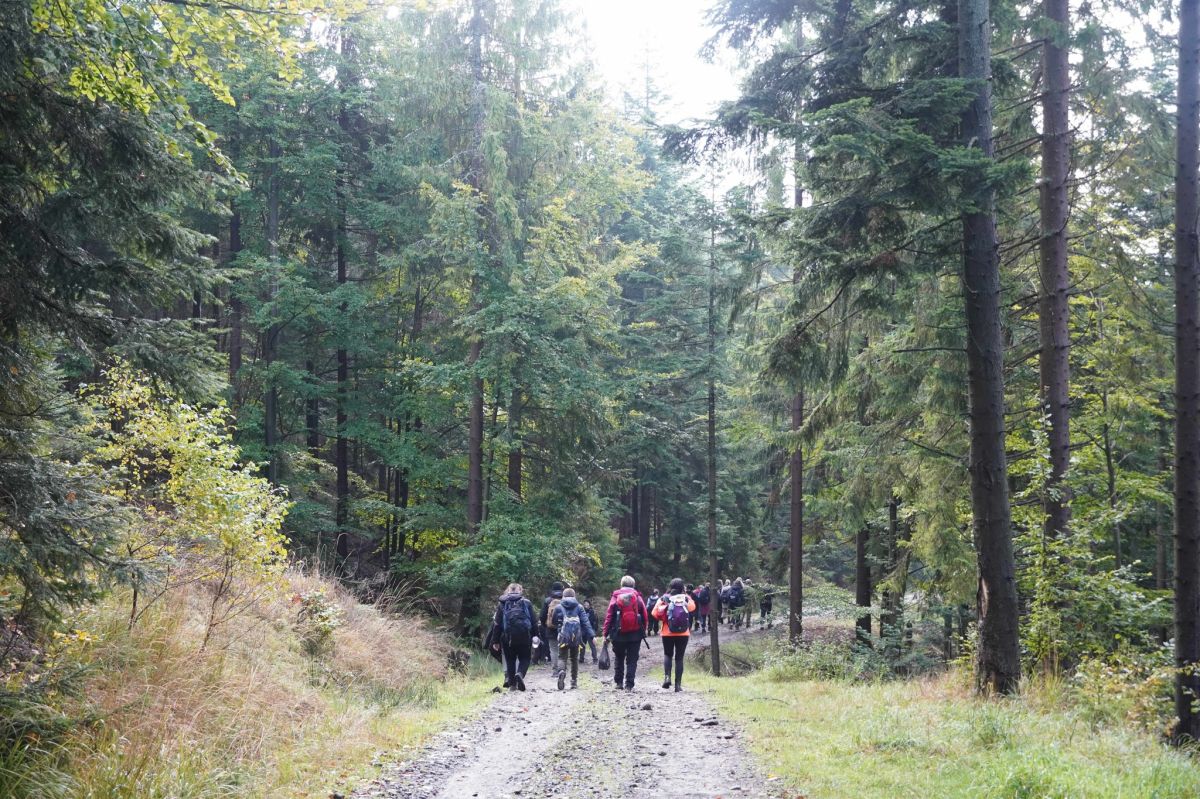 557639507 1114825174119904 5444301049267182381 n