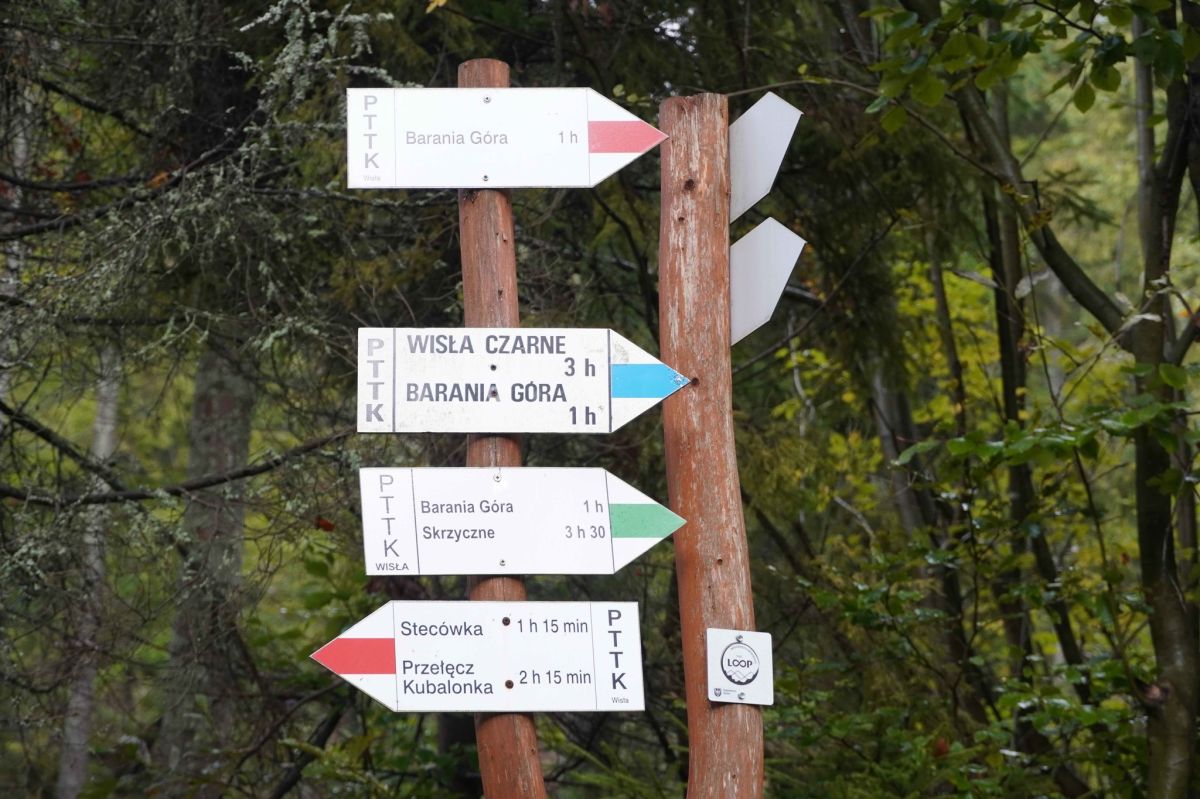 557856942 1114825540786534 2362930993998849488 n