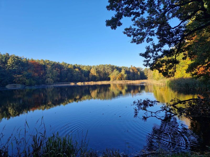 568543338 1231446545676427 7771417088233124014 n