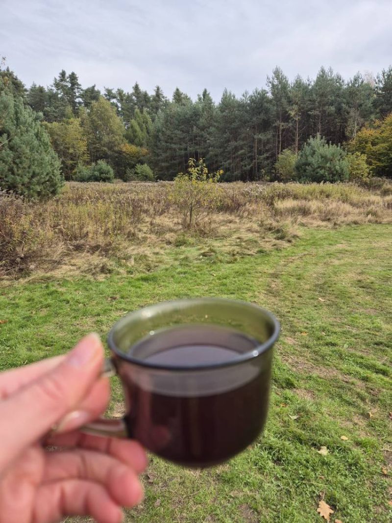 568865232 1232317405589341 2231301458552410617 n