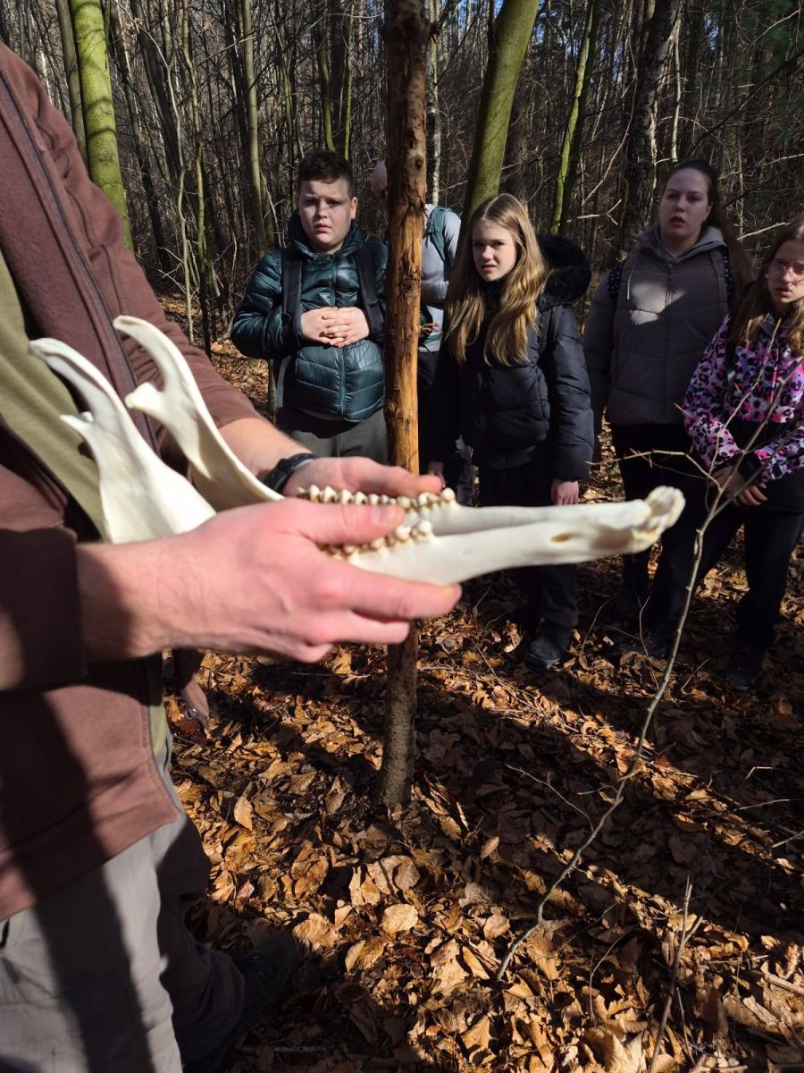 644337459 1337424181745329 4246752318688777891 n